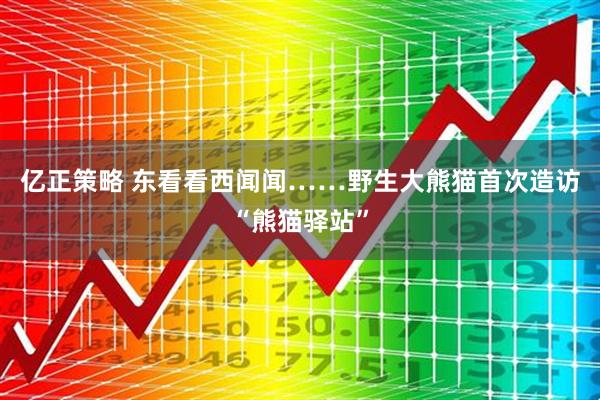 亿正策略 东看看西闻闻……野生大熊猫首次造访“熊猫驿站”