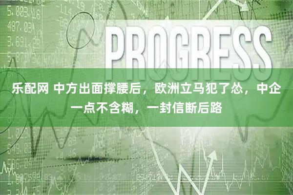 乐配网 中方出面撑腰后，欧洲立马犯了怂，中企一点不含糊，一封信断后路