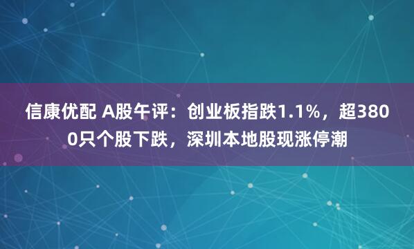 信康优配 A股午评：创业板指跌1.1%，超3800只个股下跌，深圳本地股现涨停潮