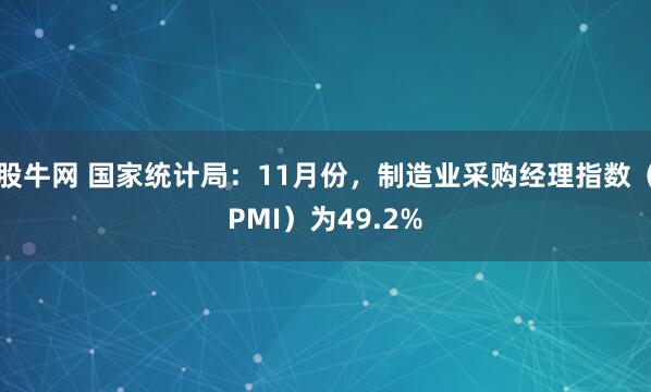 股牛网 国家统计局：11月份，制造业采购经理指数（PMI）为49.2%