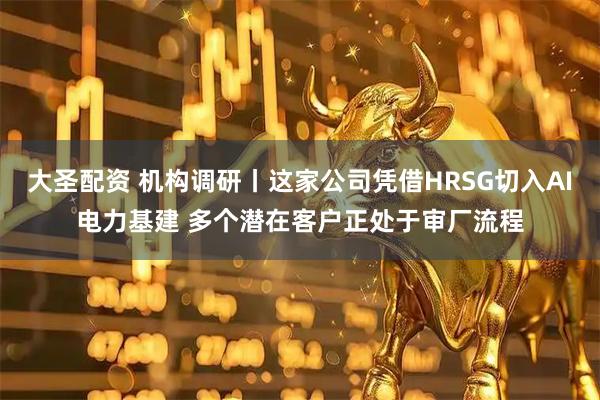 大圣配资 机构调研丨这家公司凭借HRSG切入AI电力基建 多个潜在客户正处于审厂流程