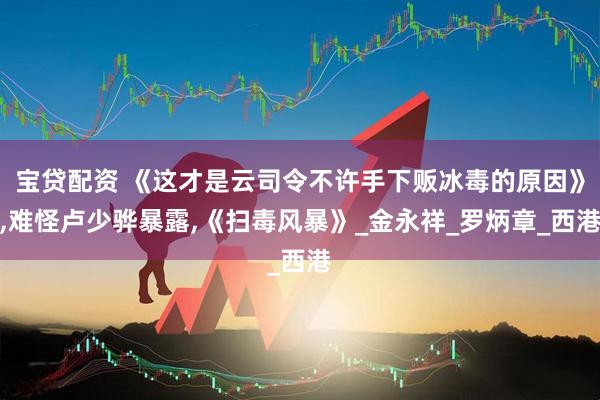 宝贷配资 《这才是云司令不许手下贩冰毒的原因》,难怪卢少骅暴露,《扫毒风暴》_金永祥_罗炳章_西港